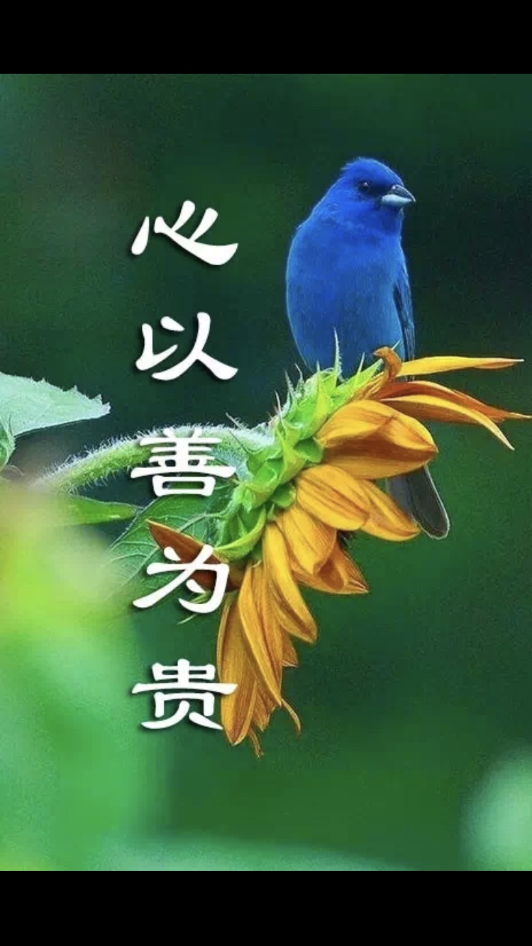 正事多-图像