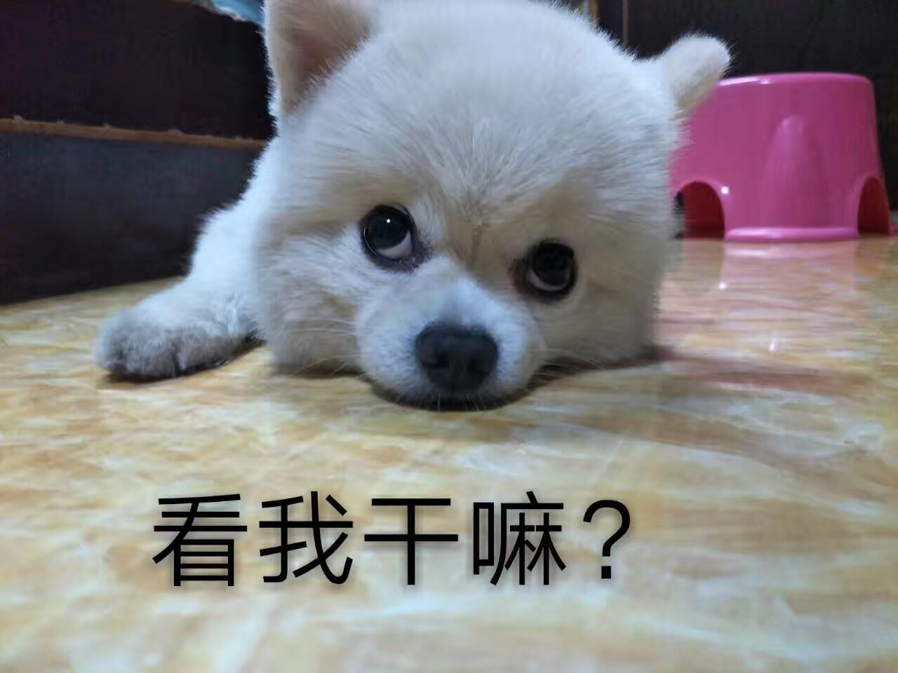 正事多-图像