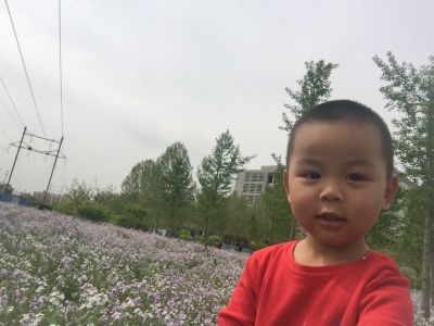 正事多-图像