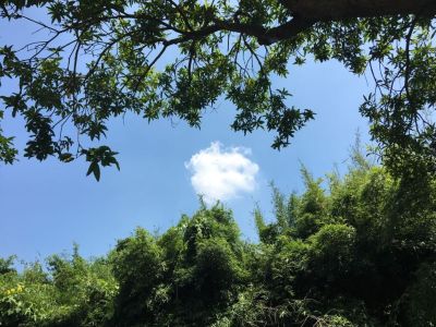 正事多-图像