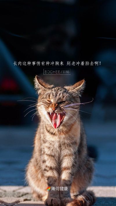 正事多-图像