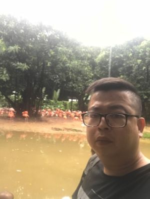 正事多-图像