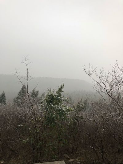 正事多-图像