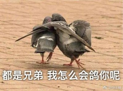 正事多-图像