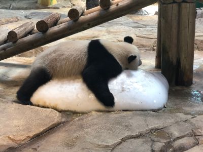 正事多-图像