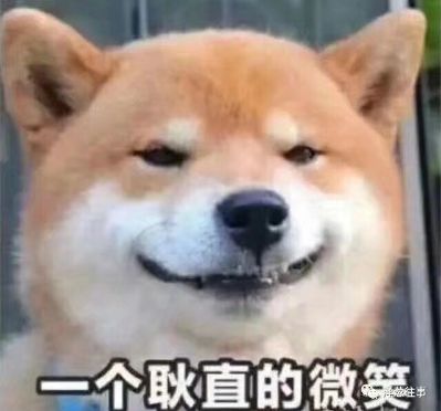 正事多-图像