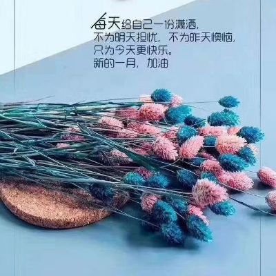 正事多-图像