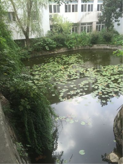 正事多-图像