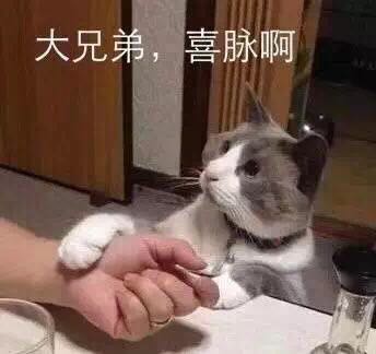 正事多-图像