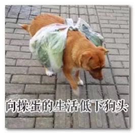 正事多-图像