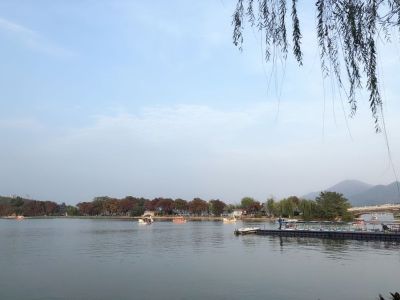 正事多-图像