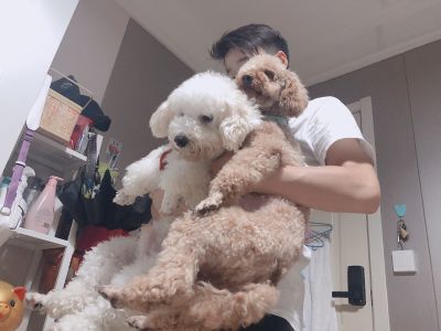 正事多-图像