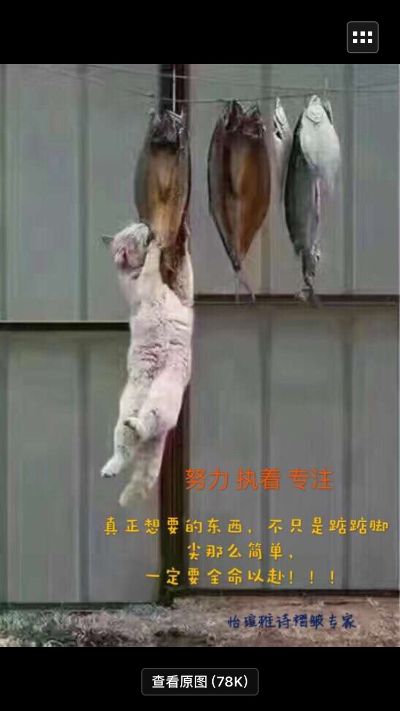 正事多-图像