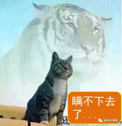 正事多-图像