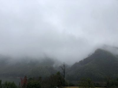 正事多-图像