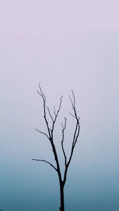正事多-图像
