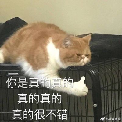 正事多-图像