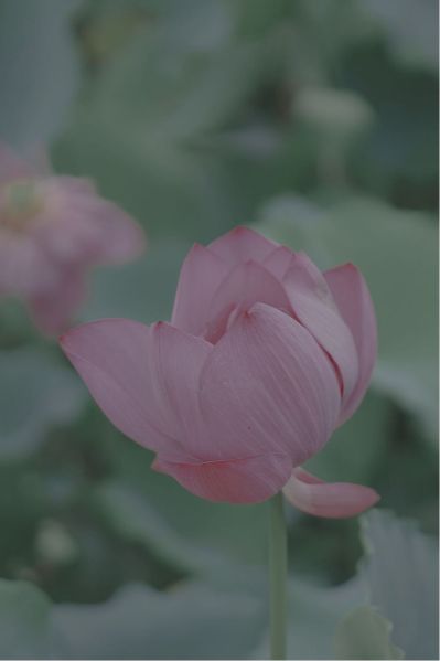 正事多-图像