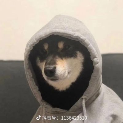 正事多-图像