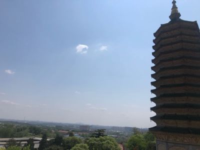 正事多-图像