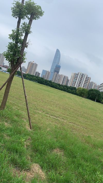 正事多-图像