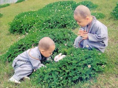 正事多-图像