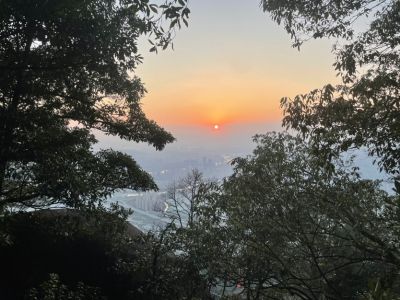正事多-图像