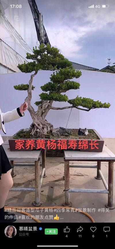 正事多-图像